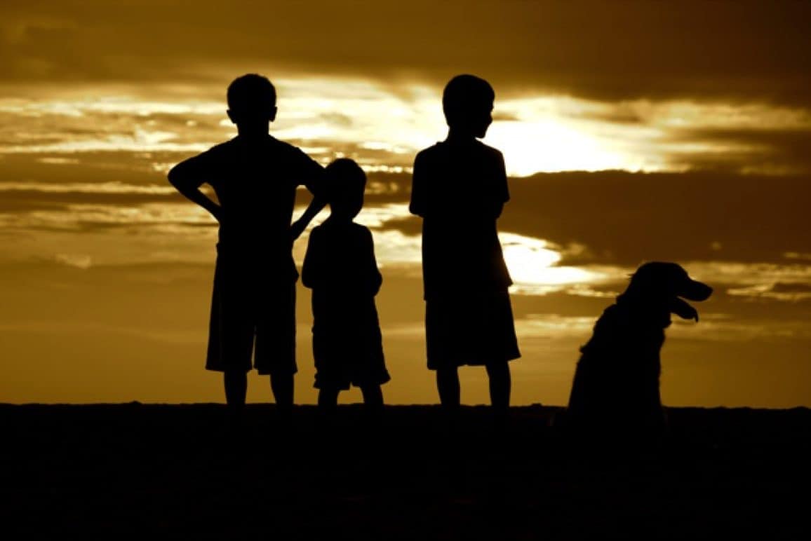 Silhouette of three boys and a dog at sunset